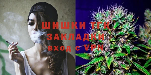 дурь Бронницы