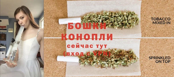 дурь Бронницы