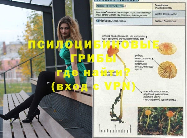 дурь Бронницы